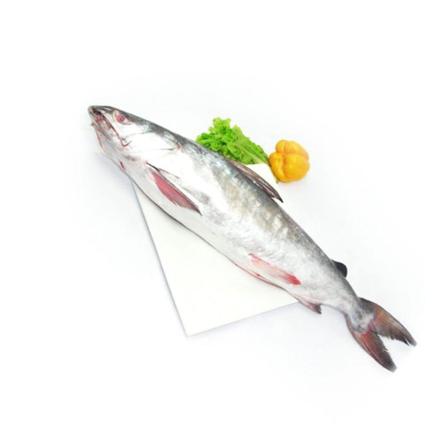 ETTA FISH SMALL KG