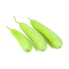 BOTTLE GOURD KGS