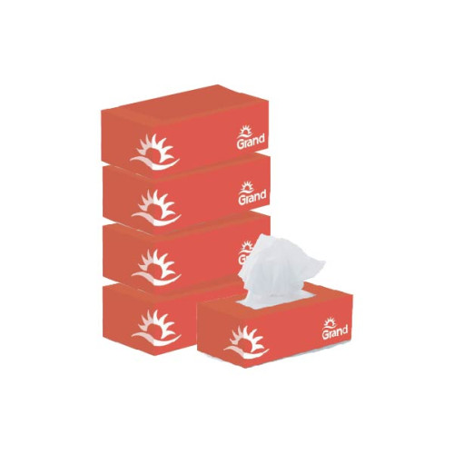GRAND 2 PLY FACIAL TISSUES 6 X 150S 