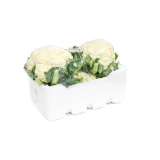 CAULIFLOWER FOAM BOX SMALL