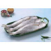 KORA CUTTLA FISH KG