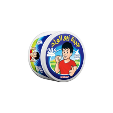 REGAL PICON PORTION CHEESE (24P) 360GM