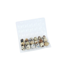WARA QUAIL EGG 18S