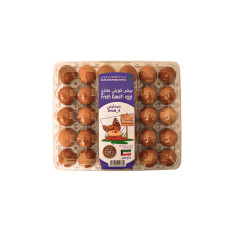 PALMS AGRO BROWN VEGAN EGG PLSTC TRAY 60/70 30