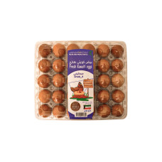 PALMS AGRO BROWN VEGAN EGG PLSTC  TRAY 60/70 15