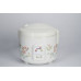 GTRON GT2110 RC DELUXE RICE COOKER 12LTR 500W