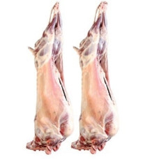 FRESH MUTTON - KUWAIT - 500GM (APPROX)